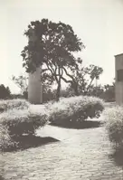 fz. nr.2 church houses back