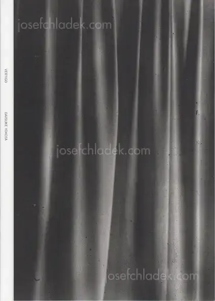 Cover of Daisuke Yokota - Vertigo 横田大輔