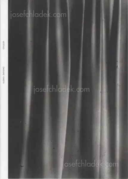 Cover of Daisuke Yokota - Vertigo 横田大輔