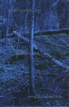 Cover of Morten Andersen - Blå Skog/Blue Forest