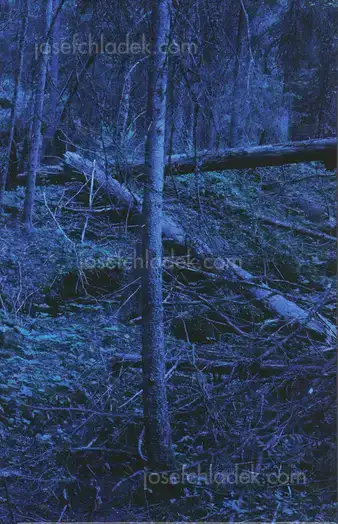 Cover of Morten Andersen - Blå Skog/Blue Forest