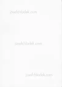 Morten Andersen - Untitled.Cities