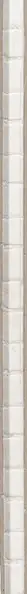 Book spine: Der Greif - A Process