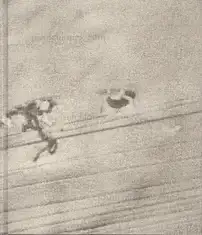 Karlis Bergs - Between the Lake and the Sea