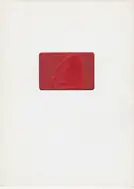 Miyako Ishiuchi - Mother's      .