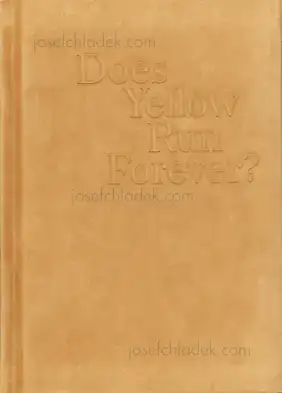 Cover of Paul Graham - Does Yellow Run Forever?