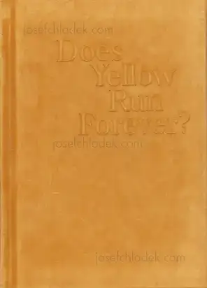 Cover of Paul Graham - Does Yellow Run Forever?