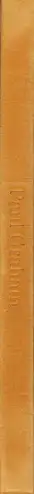 Book spine: Paul Graham - Does Yellow Run Forever?