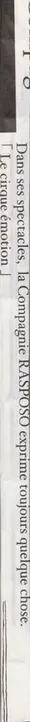 Book spine: Ryo Ichii - RASPOSO