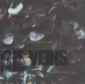 Ryo Ichii - The Veins