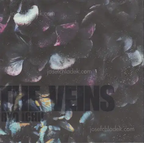 Cover of Ryo Ichii - The Veins