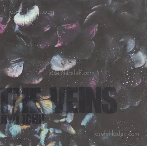 Cover of Ryo Ichii - The Veins