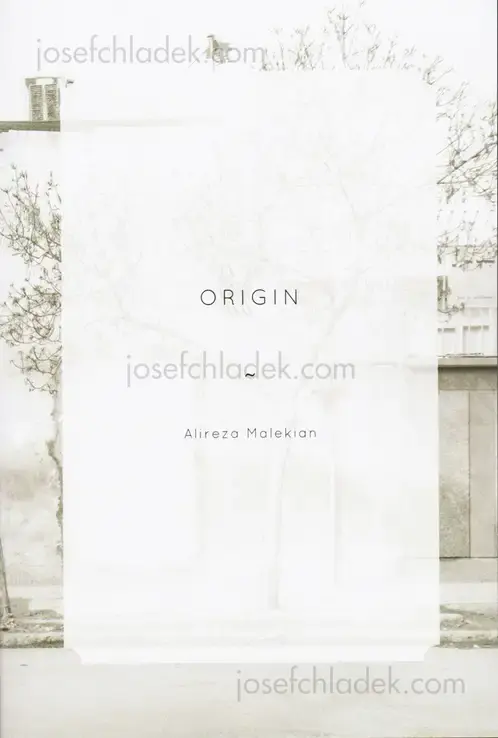 Cover of Alireza Malekian - Origin