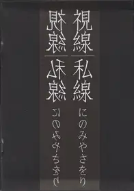 Saori Ninomiya - Visual Line/Private Line 視線/私線