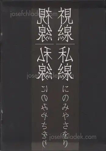 Cover of Saori Ninomiya - Visual Line/Private Line 視線/私線