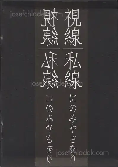 Cover of Saori Ninomiya - Visual Line/Private Line 視線/私線