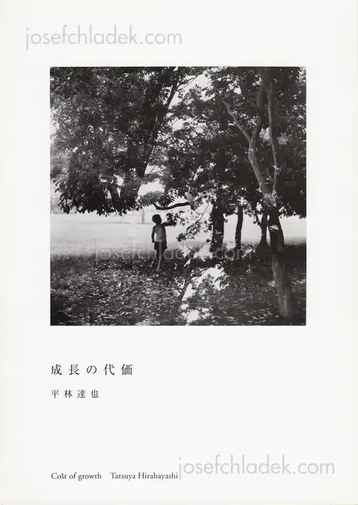 Cover of Tatsuya Hirabayashi - Cost of Growth 成長の代価