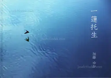 Yuka Kato - Share the fate 一蓮托生 Yuka Kato - Share the fate 一蓮托生