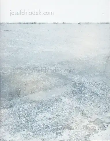 Cover of Tine Guns - Amoureux Solitaire