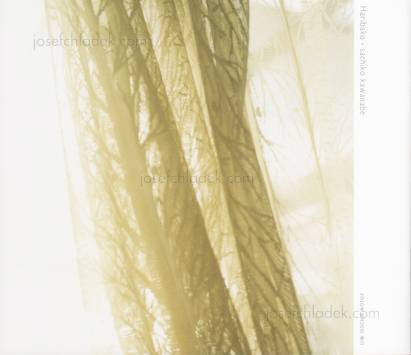  Sachiko Kawanabe - Japanese Needle Case „Haribako“ (Back)