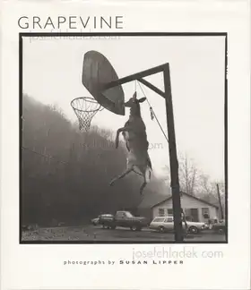 Cover of Susan Lipper - Grapevine