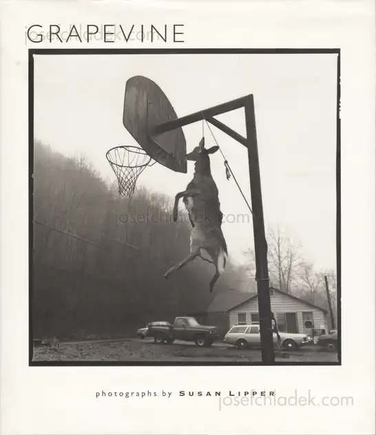 Cover of Susan Lipper - Grapevine