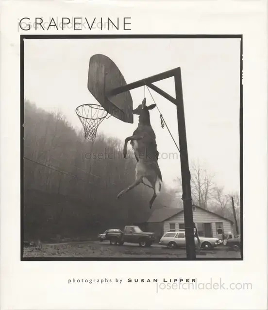 Cover of Susan Lipper - Grapevine