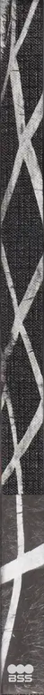 Book spine: Kazuyoshi Usui - Macaroni Christian