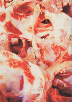  Sayuri Shimizu - The Butcher Proud workers (Back)