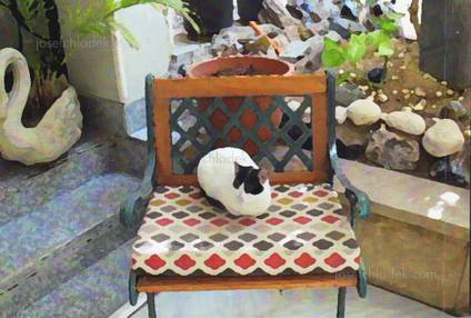  Hiroki Gomi - Bawab - Heart of Egypt  (Back)