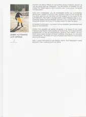 Debby Huysmans - Late Spring