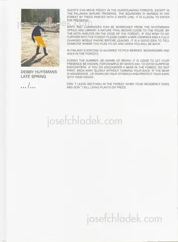 Cover of Debby Huysmans - Late Spring