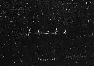 Nobuya Fuke - flake Nobuya Fuke - flake