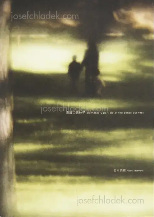 Cover of Hideki Takemoto - Particle of consciousness 意識の素粒子