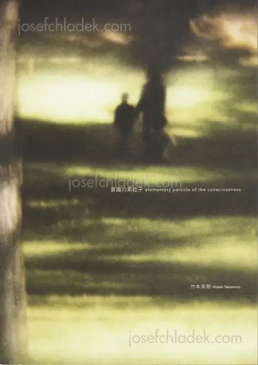 Cover of Hideki Takemoto - Particle of consciousness 意識の素粒子
