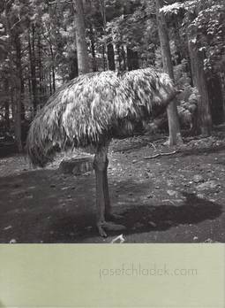  Hisako Sakurai - Dromaius-鳥 (Back)