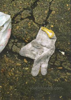  Koji Ishii - „The flowers of 5 fingers“ in town are in b...