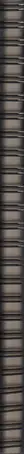 Book spine: Daisuke Yokota - Teikai (Wandering at midnight)