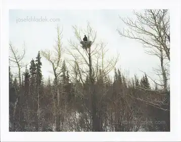 Bruno Augsburger - Out There