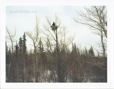 Bruno Augsburger - Out There Bruno Augsburger - Out There