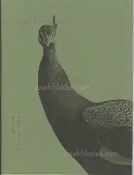 Cover of Rob Philip - Realm