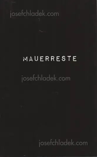 Cover of Pascal Anders - Mauerreste