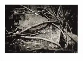 Andreas H. Bitesnich - Mutti  - Book photo 1