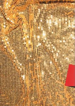  Tomoaki Hayakawa - Camp (Back)