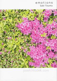 Saki Touma - emotions (Front)