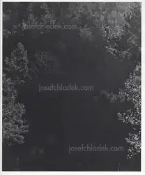 Awoiska van der Molen - Sequester