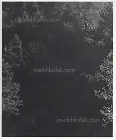 Awoiska van der Molen - Sequester