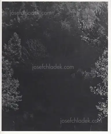 Awoiska van der Molen - Sequester Awoiska van der Molen - Sequester