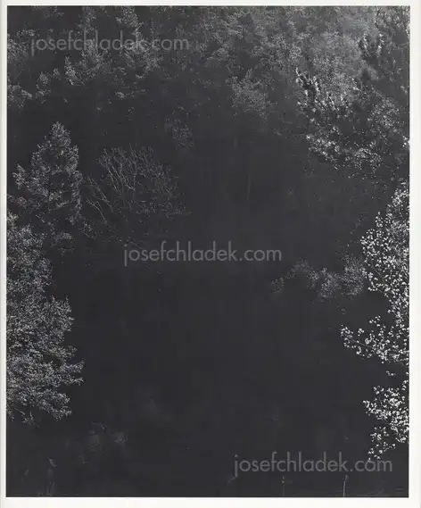 Cover of Awoiska van der Molen - Sequester
