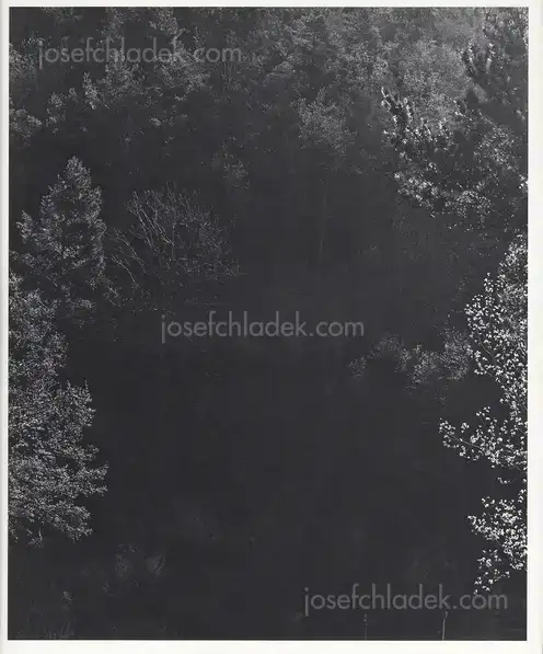 Cover of Awoiska van der Molen - Sequester